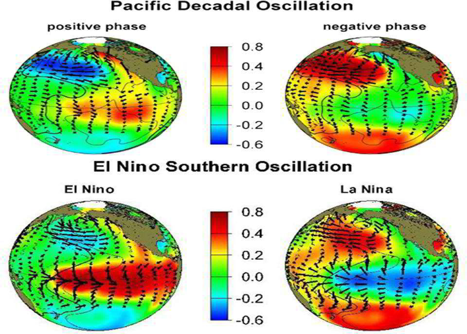 Four heat maps of the globe show the positive/warm (El Niño) and negative/cool (La Niña) phases of PDO and ENSO.